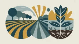 Illustration of integrated tree rows with crop fields and irrigation channel
